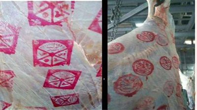 دائري ومربع والعارض موضع شبهة.. دلالات أشكال الأختام على الذبائح