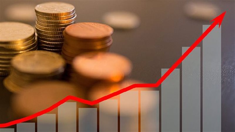 النشاط الاقتصادي،فيتو