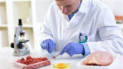 أمريكا توافق على تفريخ وبيع الدجاج المصنع في المعمل
