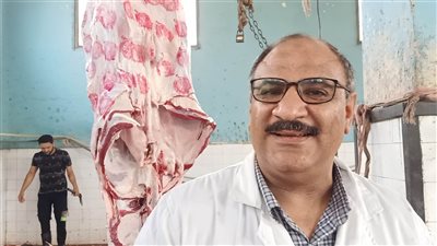 إجراءات ومميزات الذبح بالمجان داخل المجازر (فيديو وصور) 