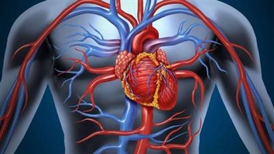 لمرضى السكر، كيف تحمي نفسك من جلطات القلب؟ 