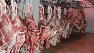 انتبه عند الشراء، 10 علامات تدل على فساد اللحوم الطازجة والمجمدة