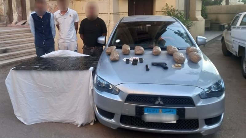 ضبط مخدرات،فيتو