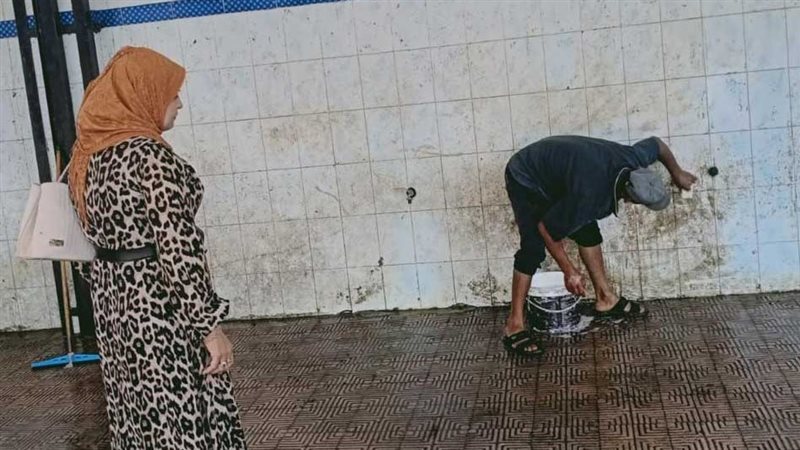 تعقيم المجازر استقبالا