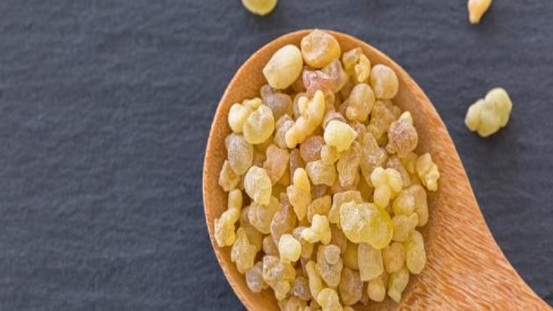 فوائد اللبان الذكر،