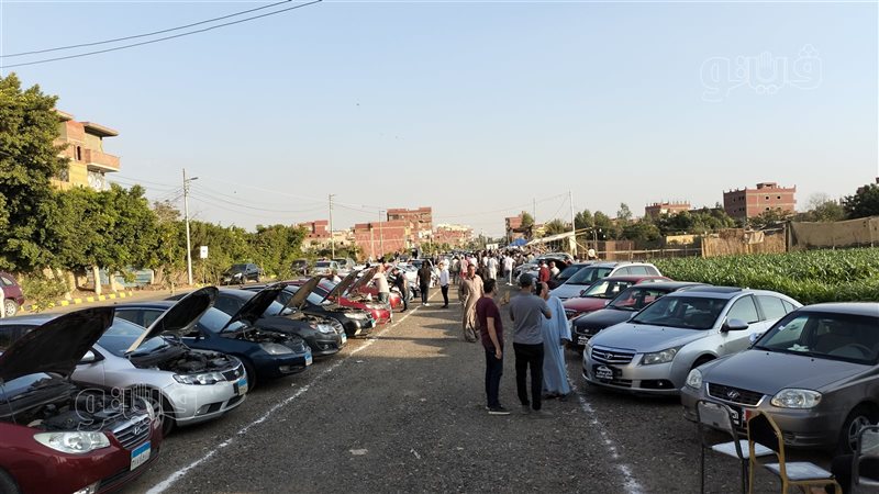سوق السيارات بالمنوفية،