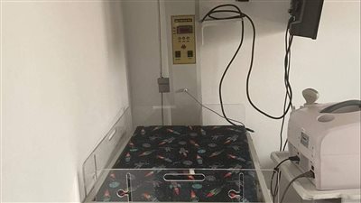 حملات تفتيشية على المنشآت الطبية في الإسماعيلية (صور) 