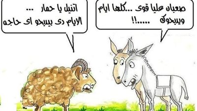 حوار ساخر بين خروف وحمار قبل العيد (كاريكاتير)