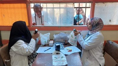 قافلة علاجية للكشف على 1347 مواطنا بالمجان بقرية الوسطاني بدمياط