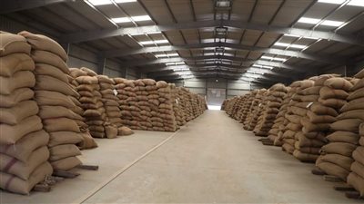 ضبط 24 طن قمح بدون ترخيص بمركزى ديرمواس والمنيا