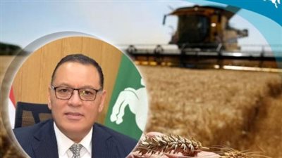 تموين الشرقية: وصول القمح المورد إلى 532 ألف طن 