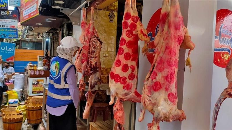 الصرف الصحى بالإسكندرية،