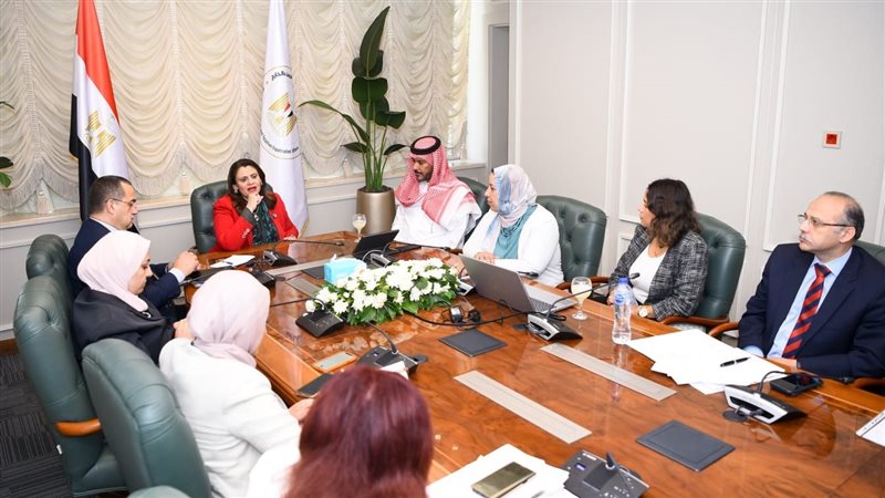 السفيرة سها جندي