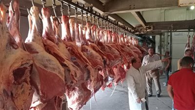 التموين: وصول 12 ألف رأس ماشية وضخ 400 ذبيحة يوميا بالمجمعات الاستهلاكية 