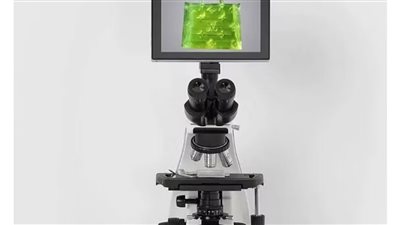 مزاد على أصغر حقيبة في العالم لا ترى بالعين المجردة (صور)