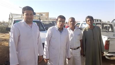 مديرية الطب البيطري تواصل إحكام الرقابة على أسواق الماشية بالأقصر