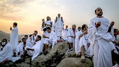 حجاج بيت الله الحرام يتضرعون بالدعاء من فوق جبل الرحمة (فيديو) 