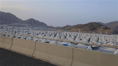 رئيس بعثة الحج: نجاح خطة تصعيد حجاج القرعة إلى عرفات