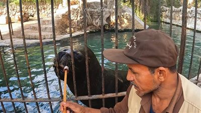 من بيت الضباع للمتحف، أسعار الأماكن الترفيهية بحديقة الحيوان في عيد الأضحى 