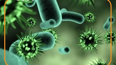 تسجيل اليابان أول وفاة بالعالم.. ما هو فيروس أوز ؟ (فيديوجراف)