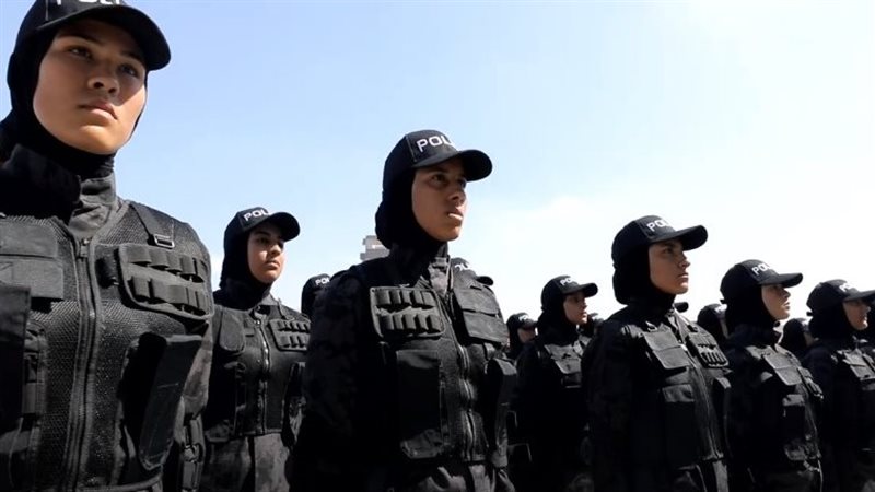 الشرطة النسائية،فيتو