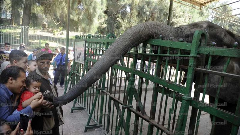 حديقة حيوان الجيزة،