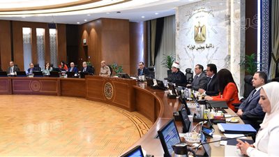 مجلس الوزراء يسلط الضوء على نشاطه الأسبوعي ويبرز ترقية الموظفين بالجهاز الإداري للدولة (إنفوجراف)