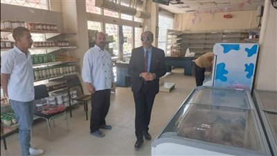 تحرير 436 مخالفة تموينية في الأقصر 