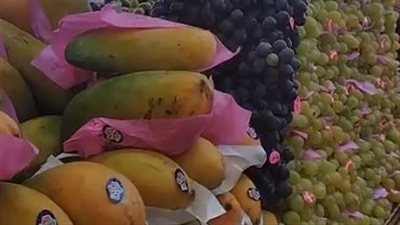 العنب يسجل 25 جنيها، أسعار الفواكه اليوم بالبحيرة (فيديو)