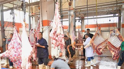 محافظ الغربية: فتح 18 مجزرا ونقطة حكومية مجانا أمام المواطنين في عيد الأضحى