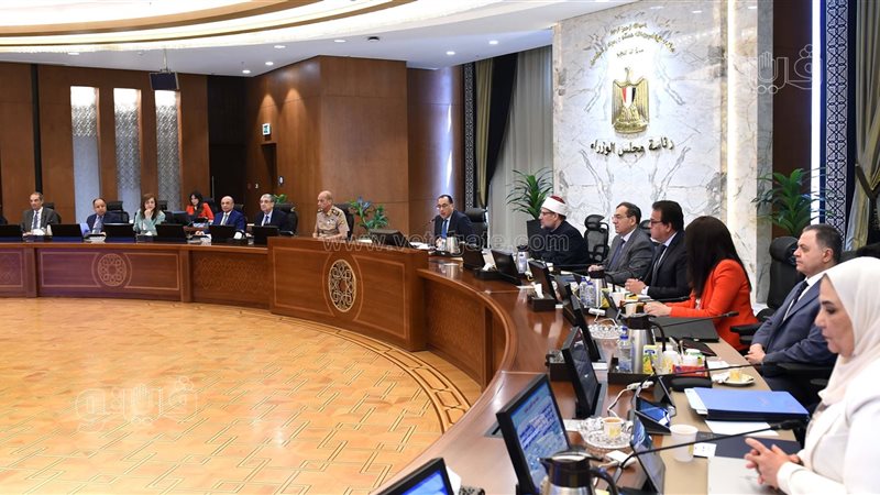 اجتماع مجلس الوزراء،فيتو