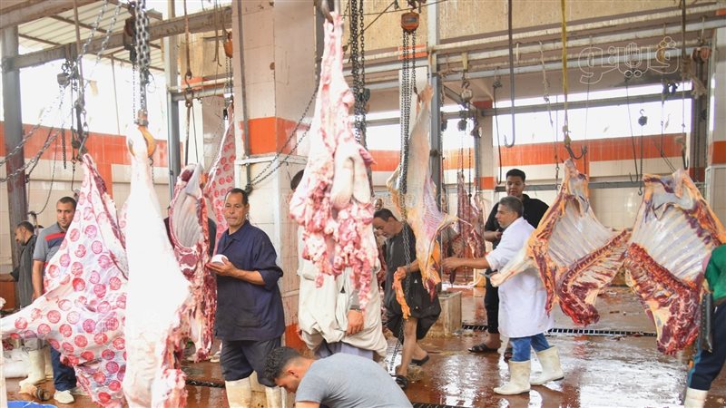 محافظ الغربية: فتح