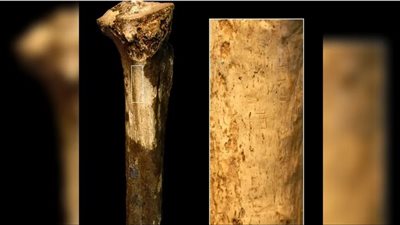 كشف مرعب، 9 علامات على عظمة بشرية تكشف ماذا فعل أسلافنا ببعضهم