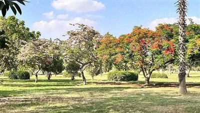 بـ2 جنيه، اعرف إزاى تقضى إجازتك خلال عيد الأضحى بالشرقية (صور)