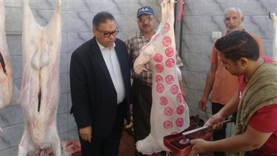 تفاصيل جولة مدير الطب البيطري علي المجازر بالدقهلية (صور)