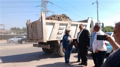 رفع القمامة وتهذيب الاشجار، استعدادات الدقهلية لاستقبال عيد الأضحى 