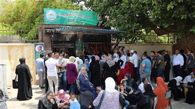 من بينها كرتونة البيض، الزراعة تكشف مفاجأة عن أسعار السلع في منافذها