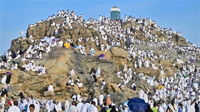 مشهد مهيب لحاج يطلب من الله المغفرة في آخر ساعة من يوم عرفة (فيديو)