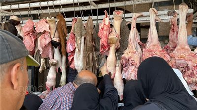 الكارع الجموسي بـ200 والفشة بـ110 جنيهات، تعرف على أسعار اللحوم وحلوياتها (صور) 