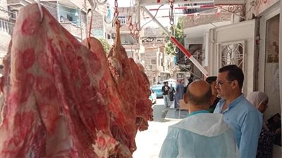 الفيوم تحرر 18 محضر مخالفات بيئة للذبح خارج المجازر