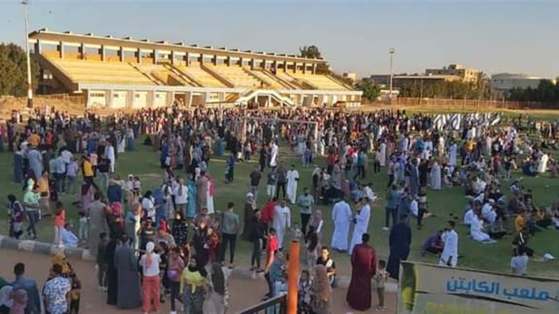ملاعب الوادي الجديد