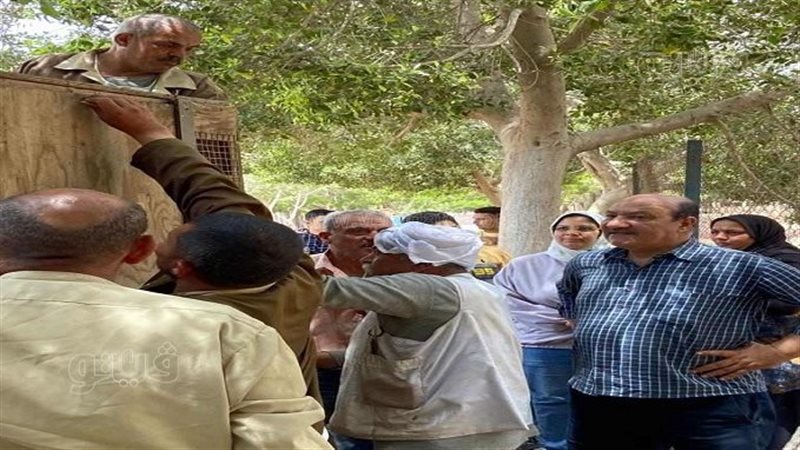 حديقة حيوان الزقازيق،
