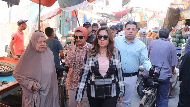 جولة محافظ دمياط،فيتو