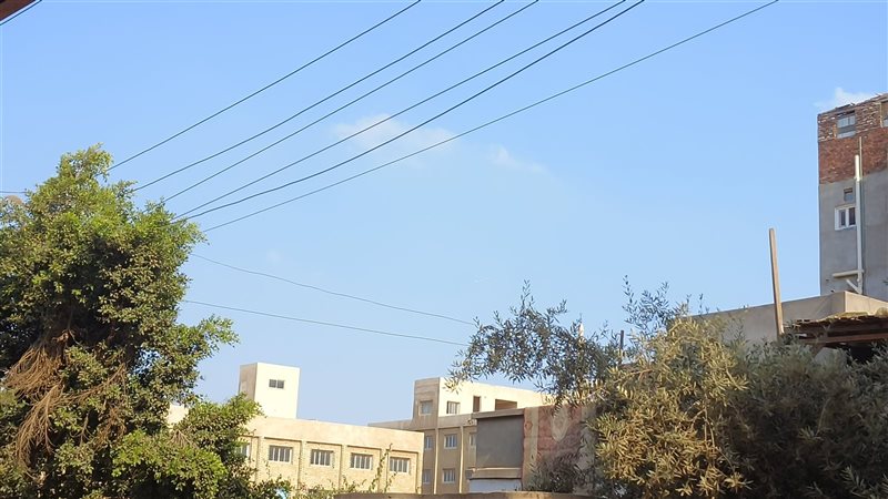 طقس الدقهلية، فيتو