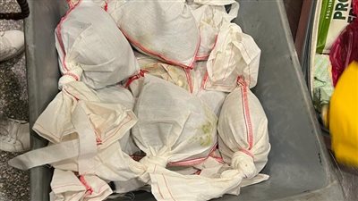 ضبط راكب بحوزته 73 ثعبانا في مطار القاهرة (صور)