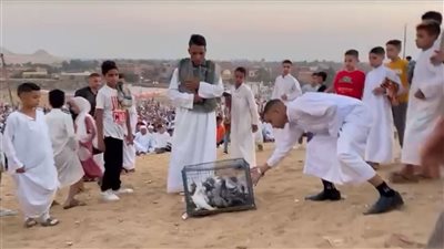 بالتزامن مع صلاة عيد الأضحى، شاب يطلق سراح مجموعة من الحمام (فيديو)