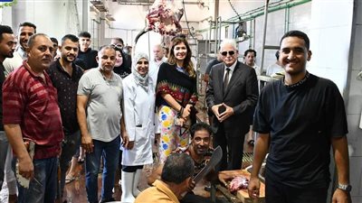 توزيع لحوم 32 عجلا على أهالي جنوب سيناء بالمجان