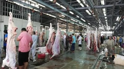 الأوقاف: ذبح الأضاحي بإشراف شرعي وبيطري 