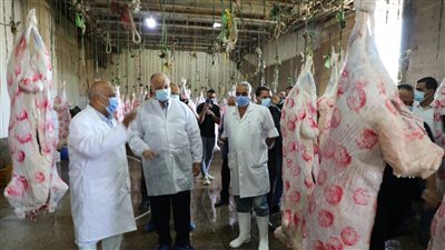 بيطرى القاهرة: ضبط 36 طن لحوم مذبوحة خارج المجازر