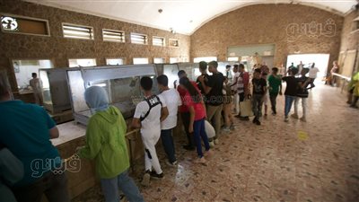 بيت الزواحف يجذب زوار حديقة الحيوان في أول أيام عيد الأضحى (صور)